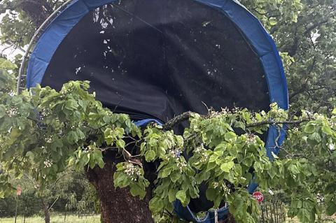 F1 tornado hit East of Allen
