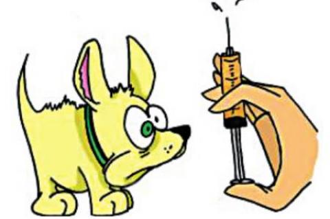Allen Vet Clinc Rabies shots Saturday