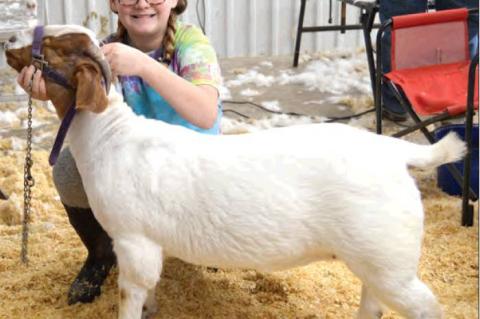 Allen Students do very well at Regional Show