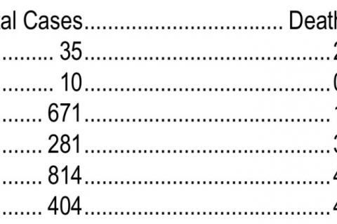 Current Local COVID Numbers