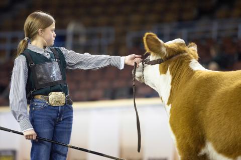 Maebree Howard had a fantastic trip to OYE (Oklahoma Youth Expo) She picked up Reserve Champion Bred and Owned Horned Hereford Heifer and Reserve Division Champion Horned Hereford Heifer