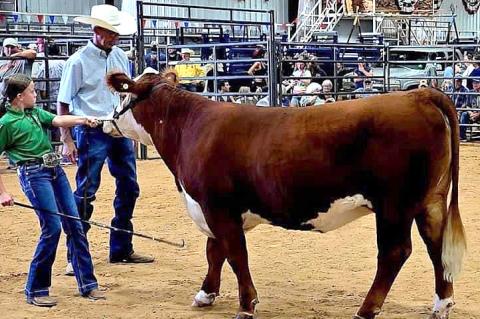 Allen Kids Have Great Showing at Pontotoc County Fair