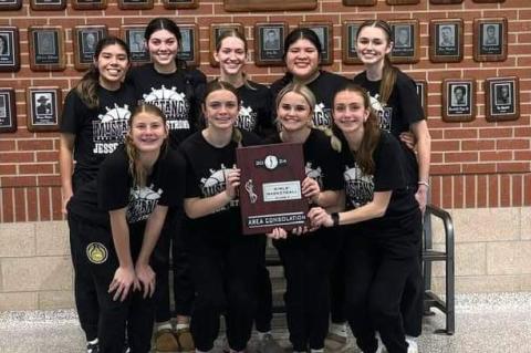  Good Luck, Lady Mustangs, at State!