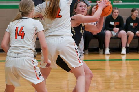 Successful Season Ends for Lady Mustangs