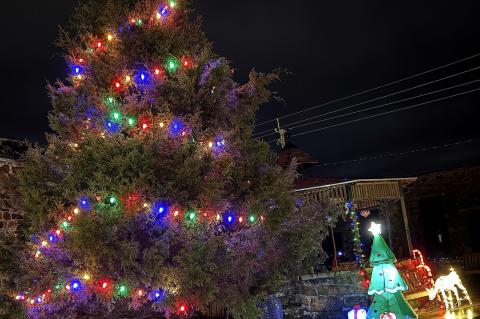 Alisha Bible and her elves have worked hard to make Memory Lane look very ‘Christmasy’. Special thanks Daren Bible, Charles Wallace, Spencer and Chandler Wallace for getting the tree and placing it in the perfect location