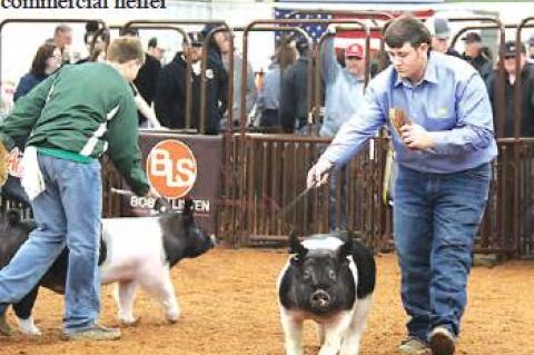 Allen Students do very well at Regional Show