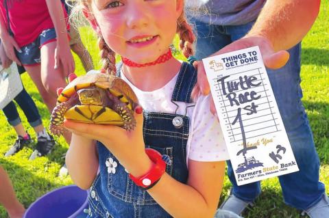 Sadie Sappenfield’s turtle
