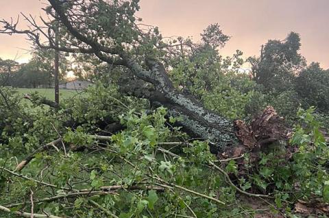 F1 tornado hit East of Allen