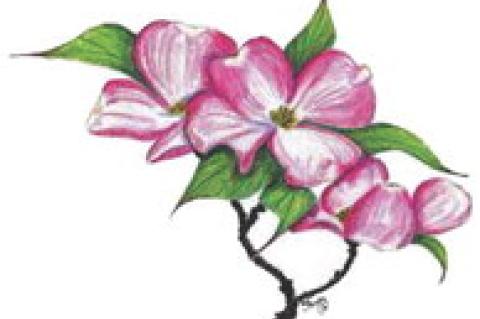 The Easter Legend of the Dogwood