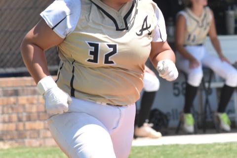 Allen / Calvin Softball Roundup