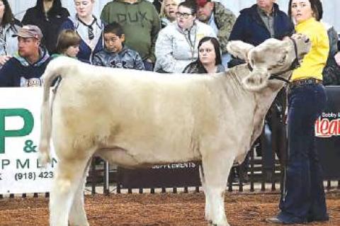 Allen Students do very well at Regional Show