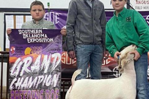 Winning Grand Champion