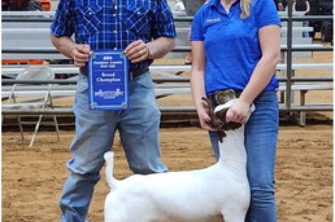 Allen FFA & 4H Success at Fair