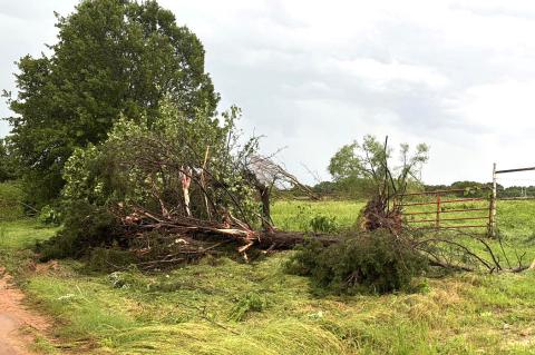 A Monday afternoon F1 tornado hit East of Allen and near Atwood. There is reported a lot of tree, fence, vehicle and some home damage from the storm. The weather forecasters described the tornado as a wide destructive storm with a lot of debris. We are fo
