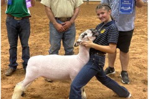Allen FFA & 4H Success at Fair