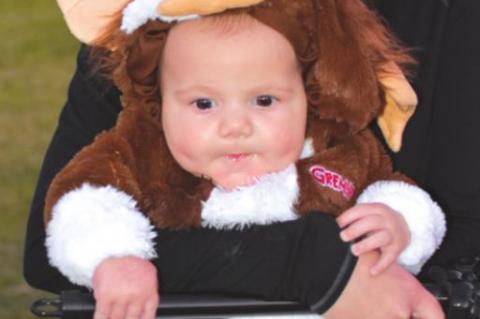 Trick or Treat in Allen