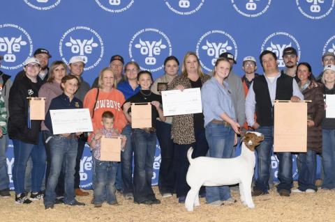 Allen FFA and 4H have Successful Show Season