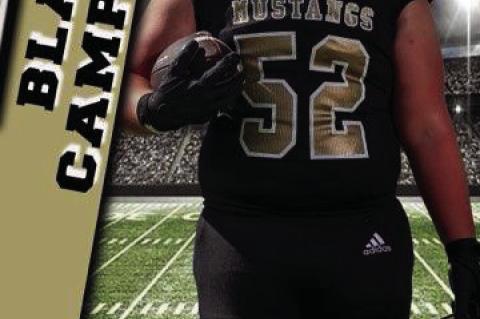 12 Mustangs Earn District Honors