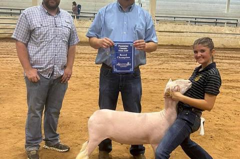 Allen Kids Have Great Showing at Pontotoc County Fair