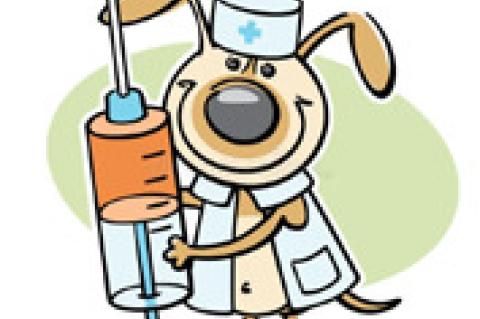 Allen Rabies Clinic Thursday April 24th Allen Vet Clinic